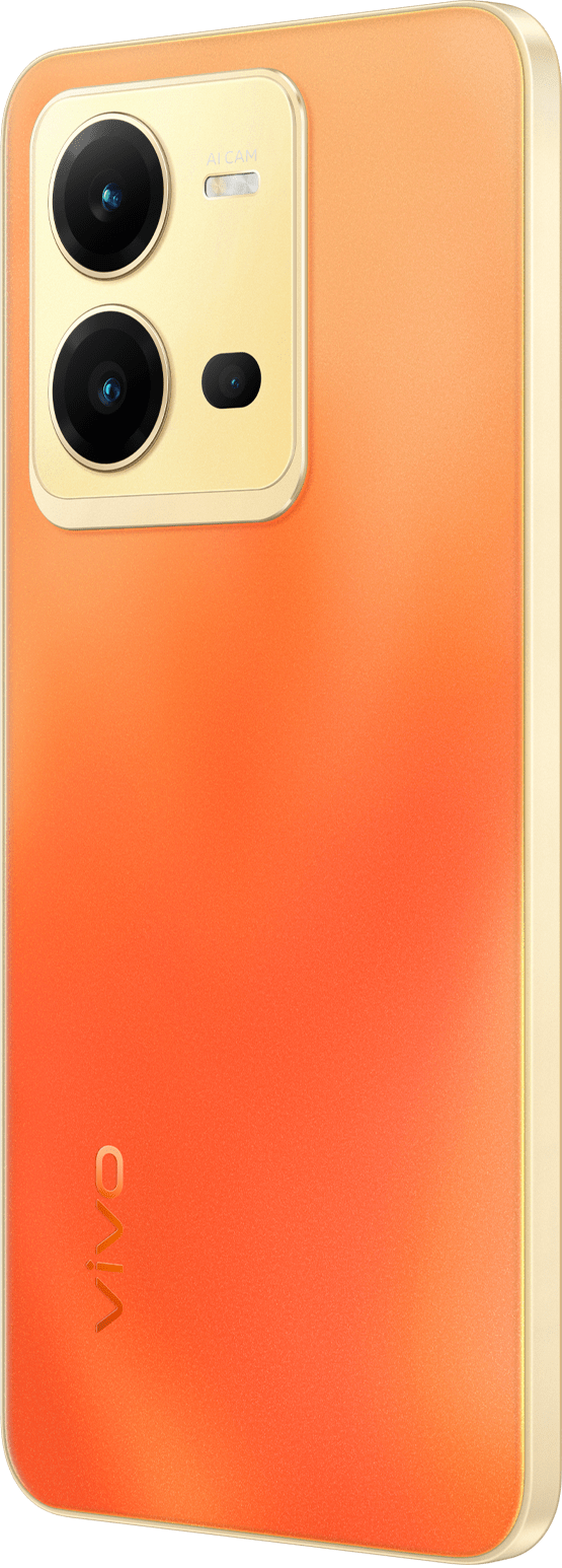 vivo product page