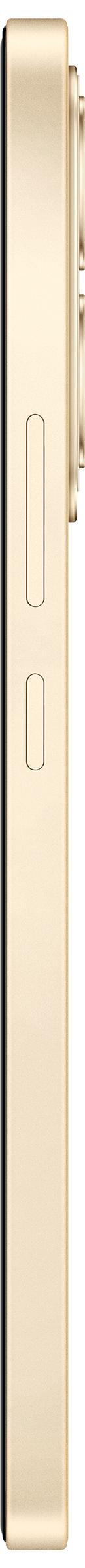 vivo product page