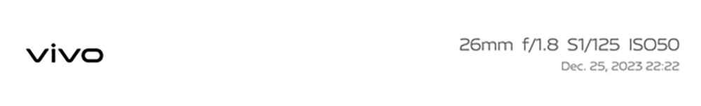 imagen de muestra del vivo V30 SE con filtros de noche elegantes