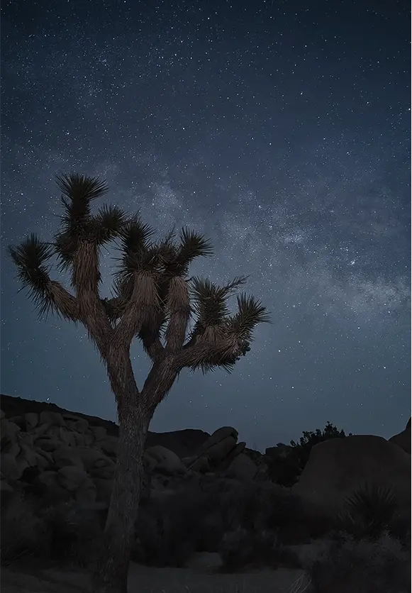 cámara en modo astro del vivo v29 CL