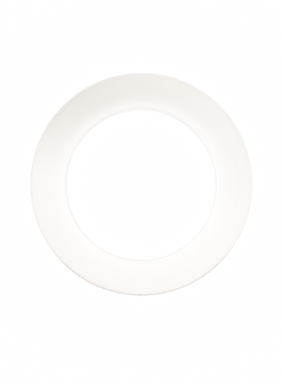 vivo v25e softlight light