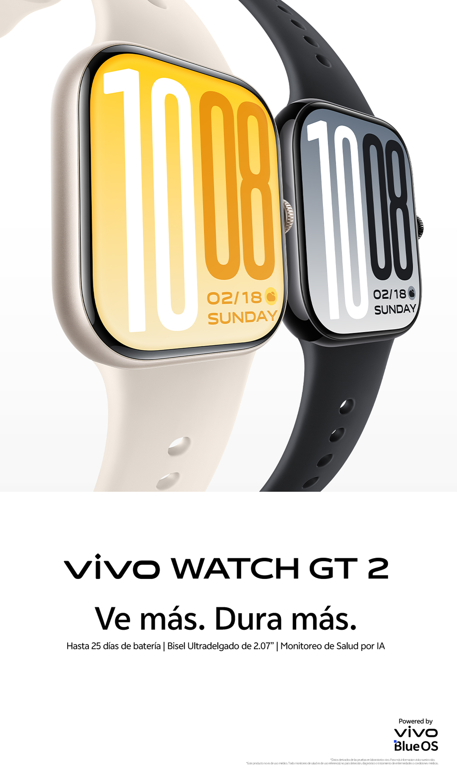 vivo WATCH GT 2