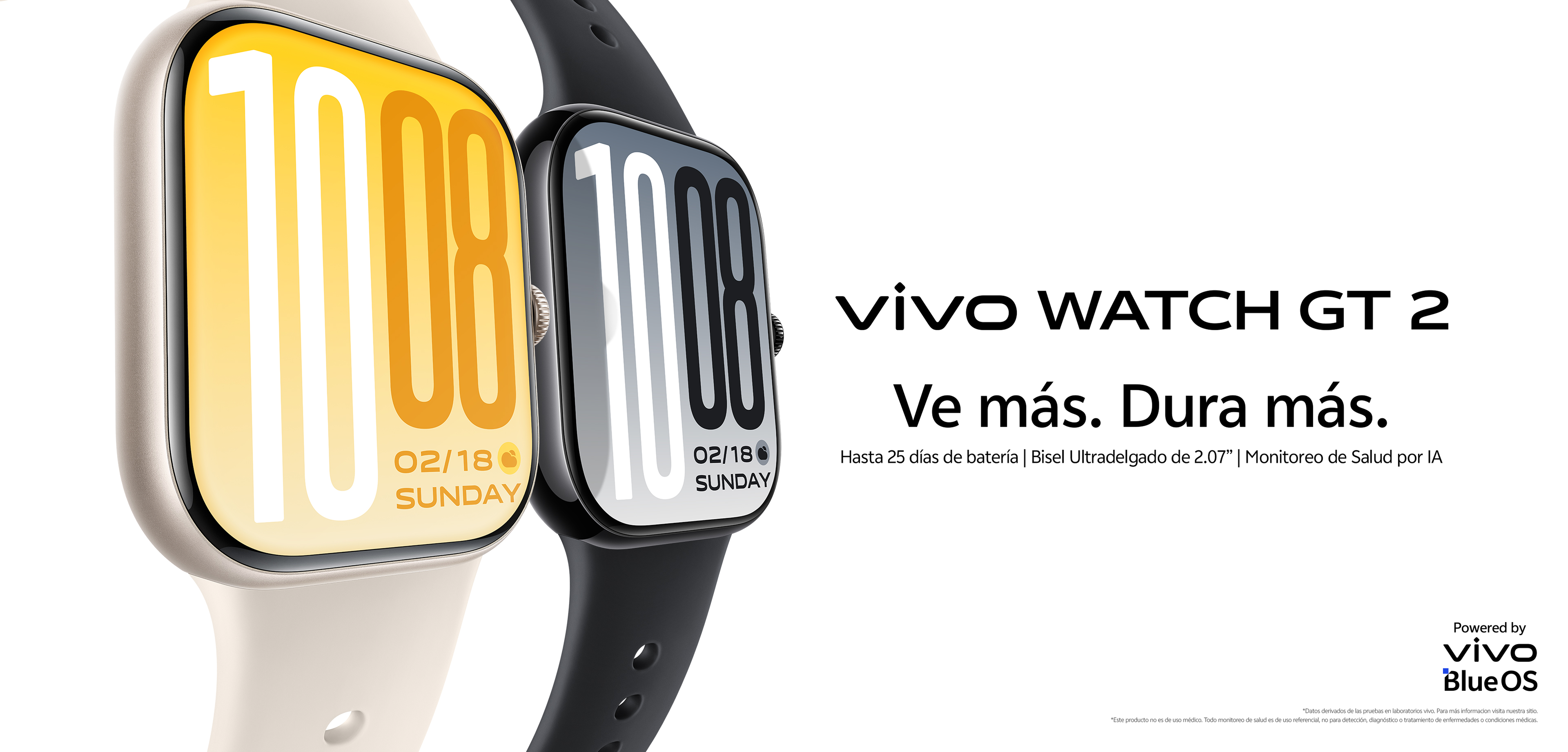 vivo WATCH GT 2