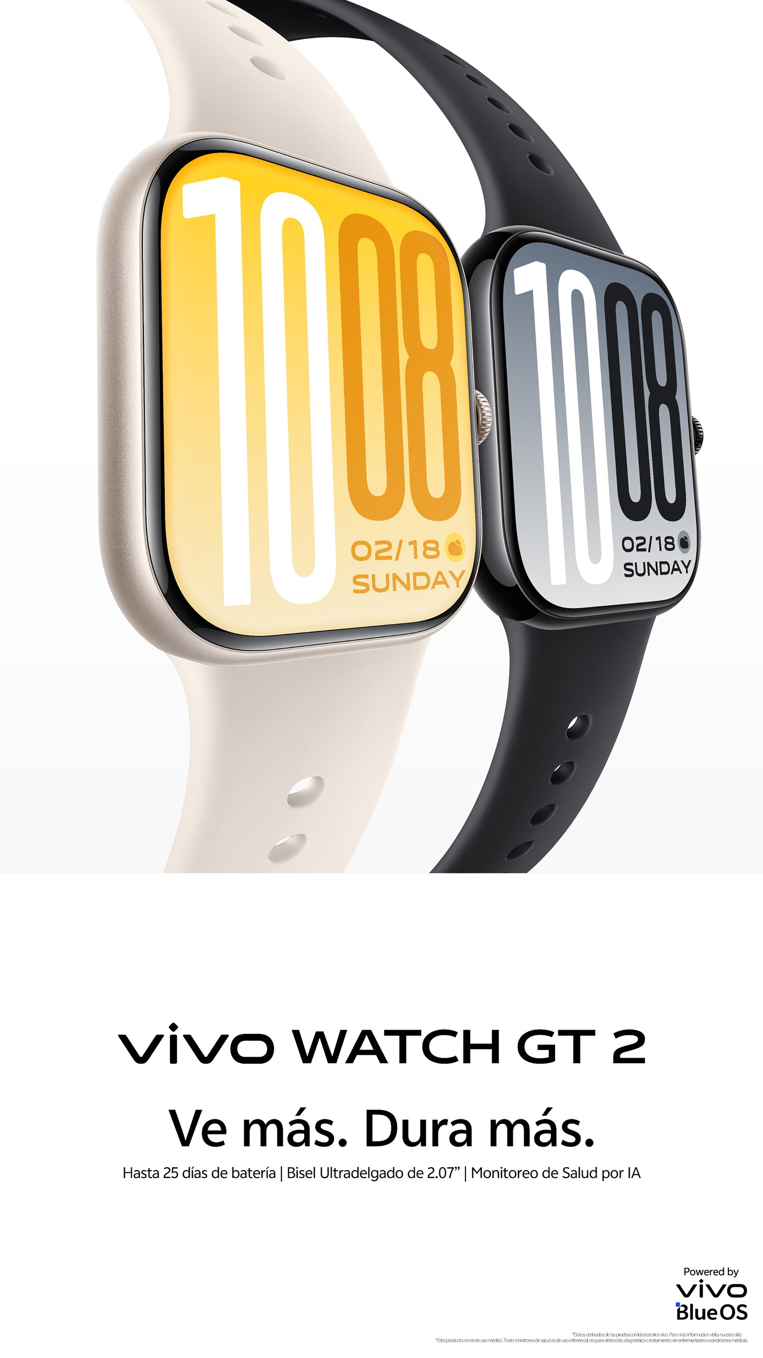 vivo WATCH GT 2